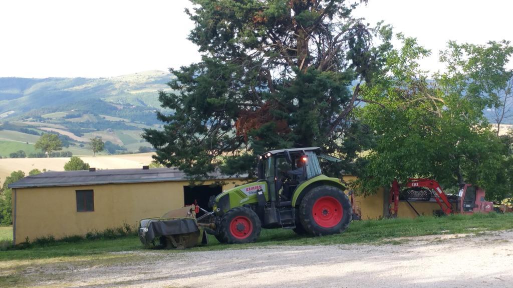 Pietra Maula Agriturismo Castelraimondo Buitenkant foto