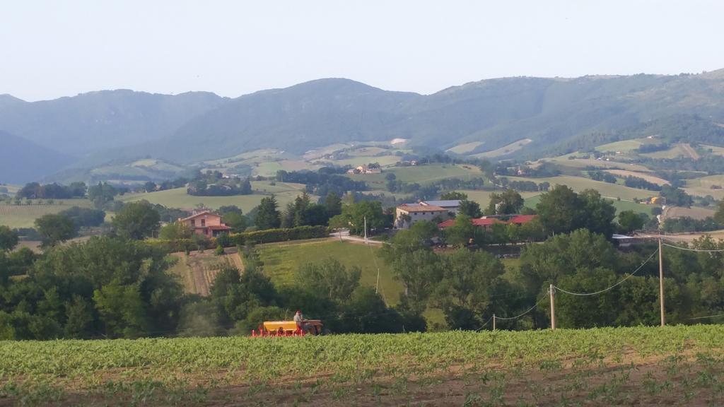 Pietra Maula Agriturismo Castelraimondo Buitenkant foto