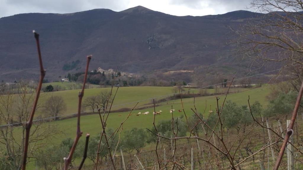 Pietra Maula Agriturismo Castelraimondo Buitenkant foto