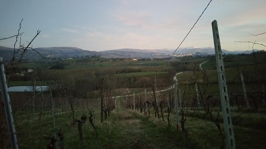 Pietra Maula Agriturismo Castelraimondo Buitenkant foto