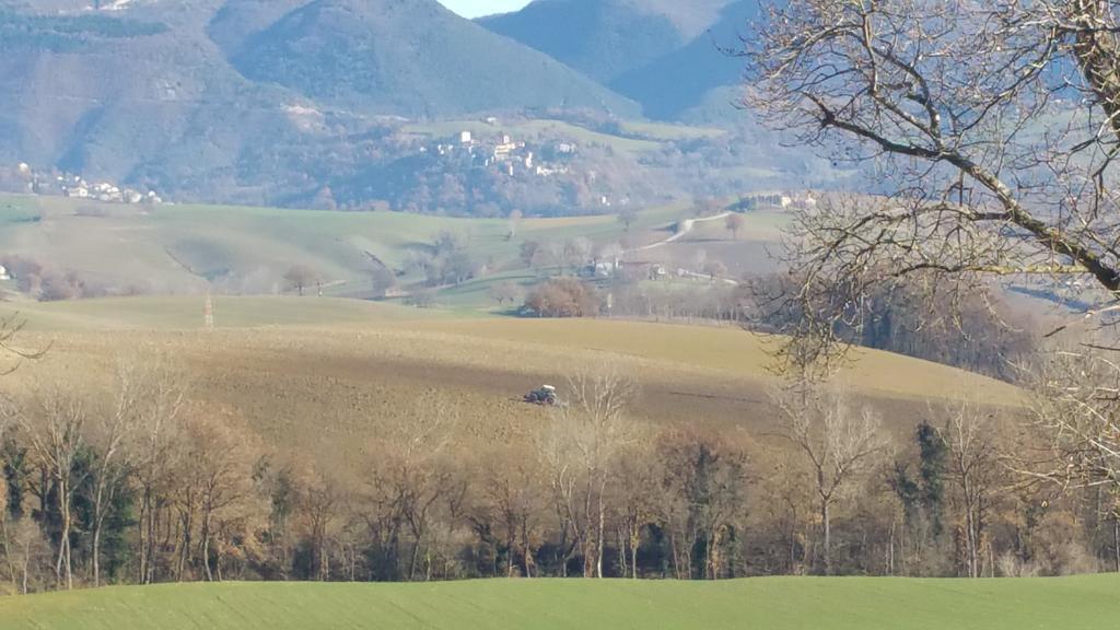 Pietra Maula Agriturismo Castelraimondo Buitenkant foto