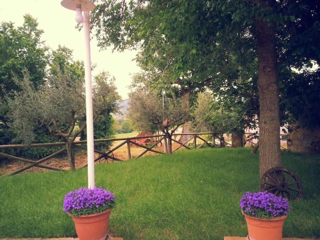 Pietra Maula Agriturismo Castelraimondo Buitenkant foto
